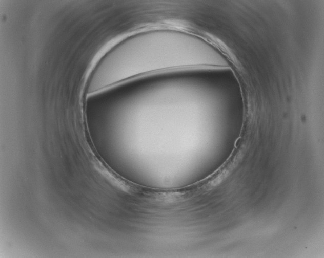 X0000080131184200612080948