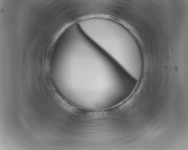 X0000080131185200612080948