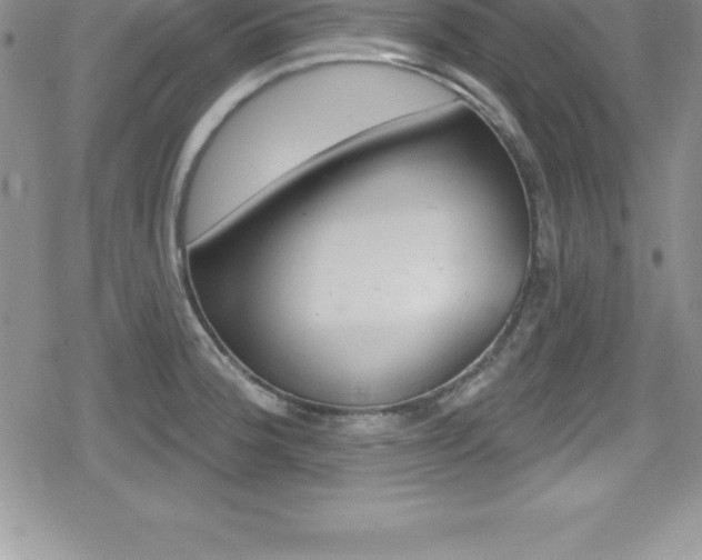 X0000080131188200612080948