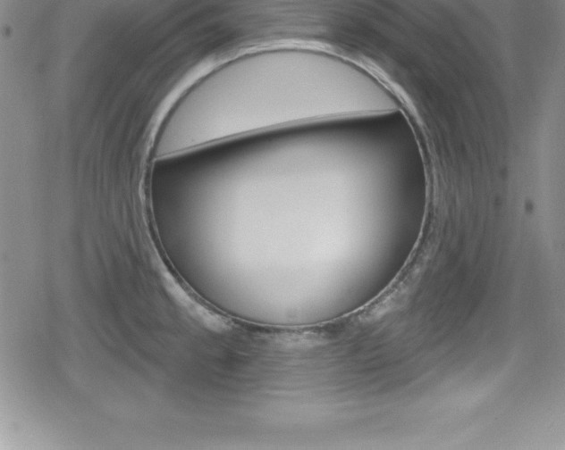 X0000080131189200612080948