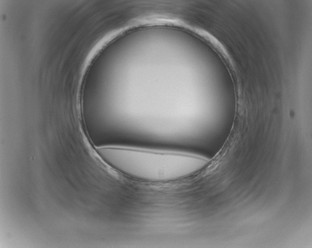 X0000080131191200612080948
