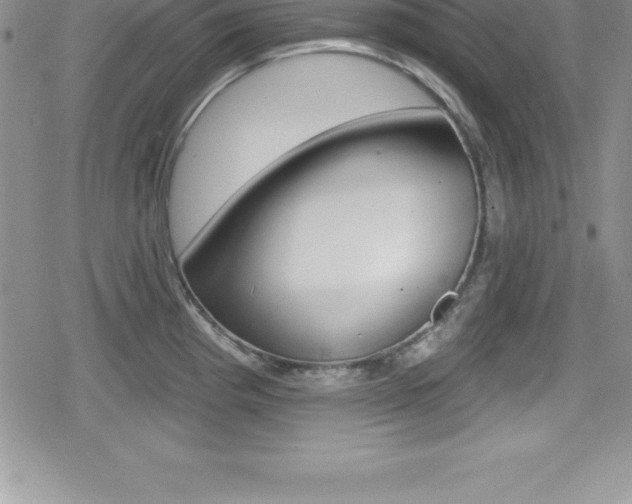 X0000080131193200612080948