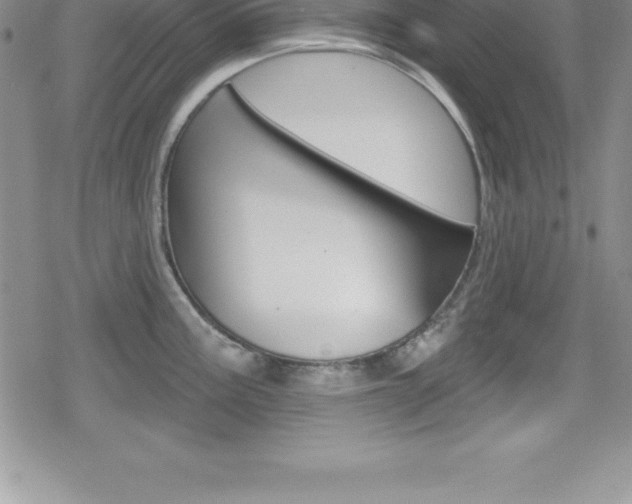 X0000080131195200612080948