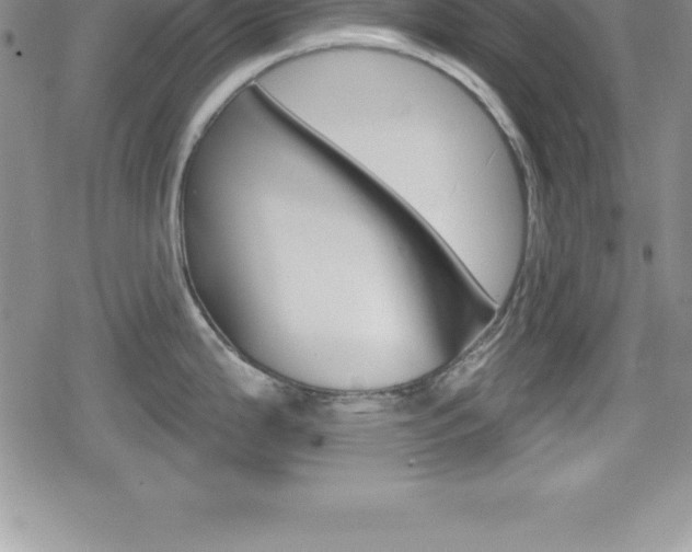 X0000080131199200612080948