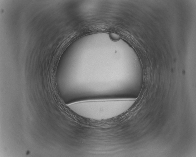 X0000080131201200612080947