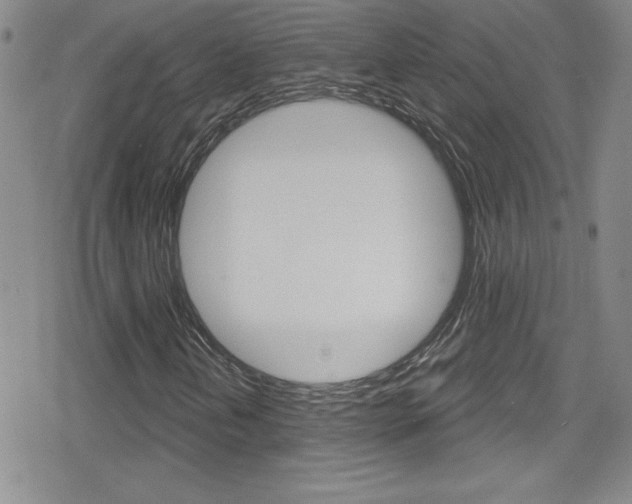 X0000080131202200612080947