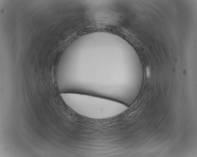 X0000080131203200612080947