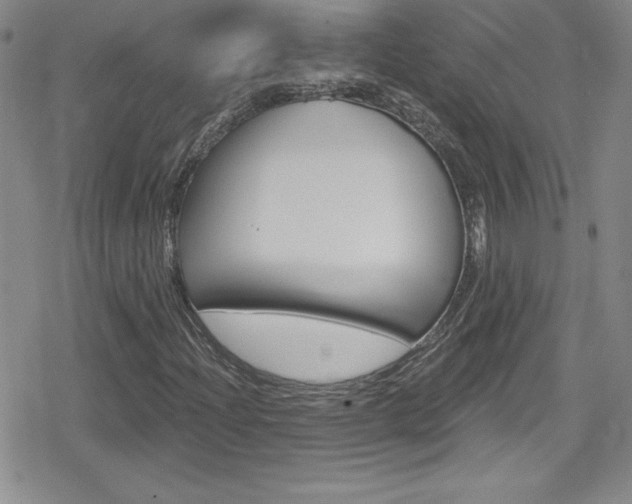 X0000080131204200612080947