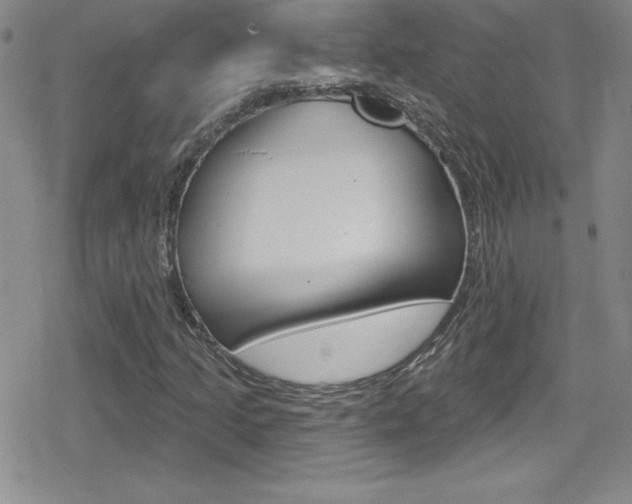 X0000080131205200612080947
