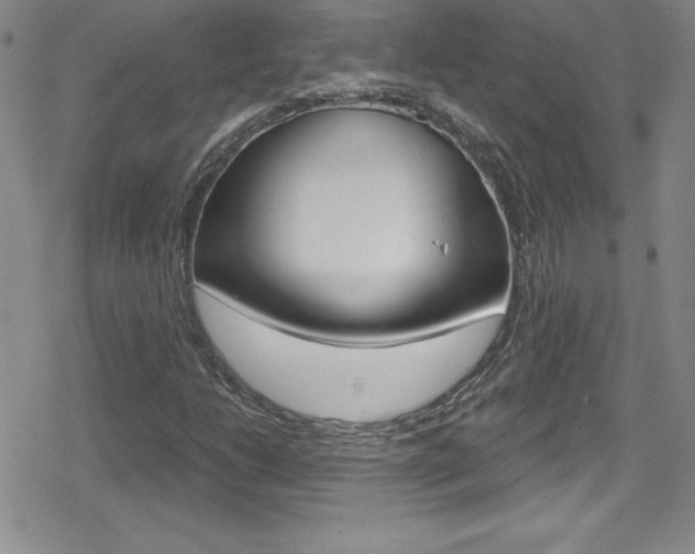 X0000080131206200612080947