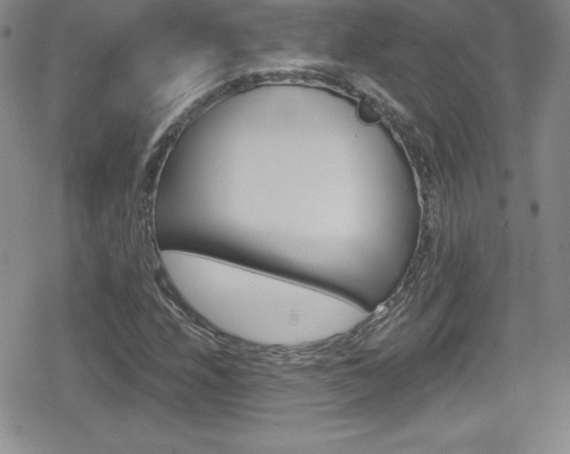 X0000080131208200612080947
