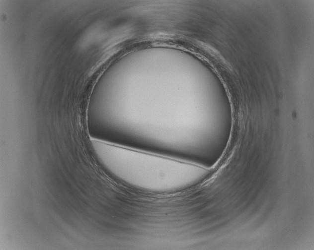 X0000080131209200612080947