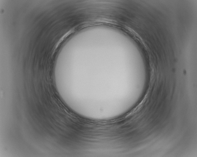 X0000080131210200612080947