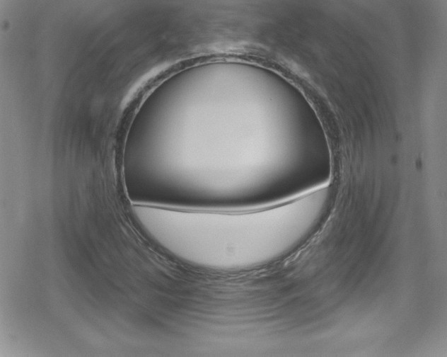 X0000080131214200612080947