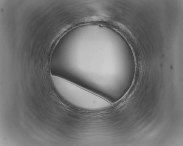 X0000080131217200612080948