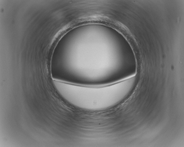 X0000080131218200612080948