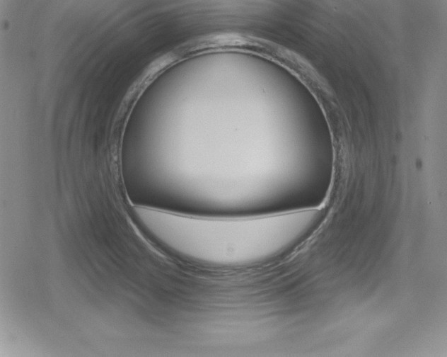 X0000080131225200612080948
