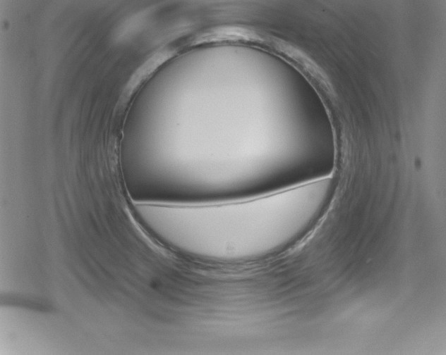 X0000080131233200612080948