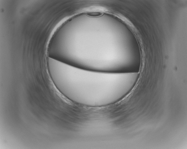 X0000080131248200612080948