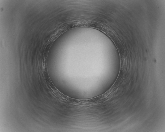 X0000080131250200612080947