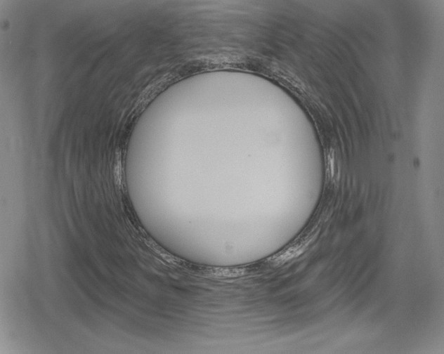 X0000080131251200612080947