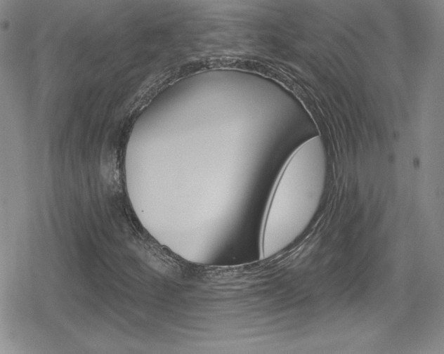 X0000080131252200612080947