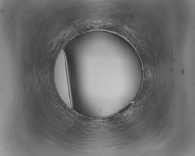 X0000080131253200612080947