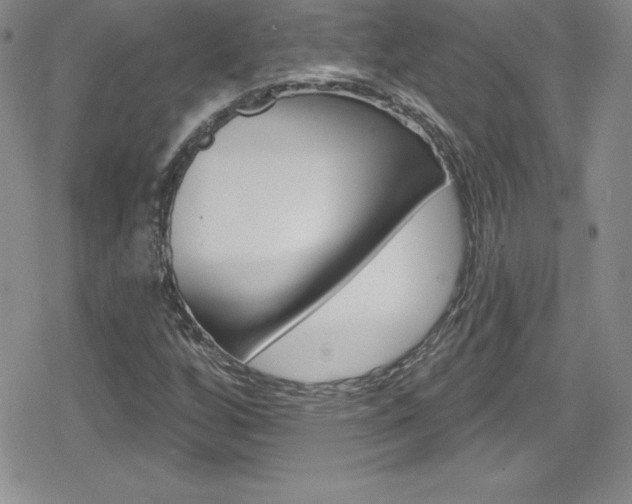 X0000080131256200612080947