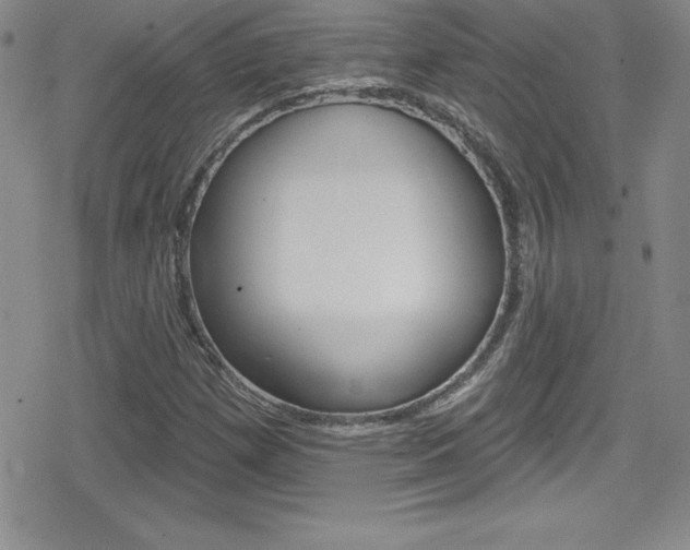 X0000080131257200612080947