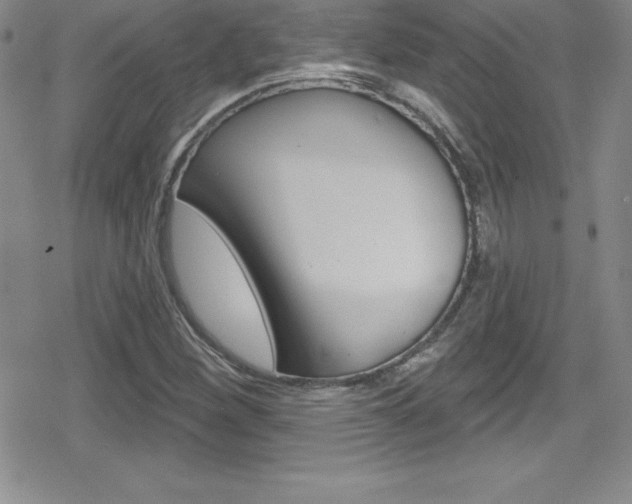 X0000080131260200612080947