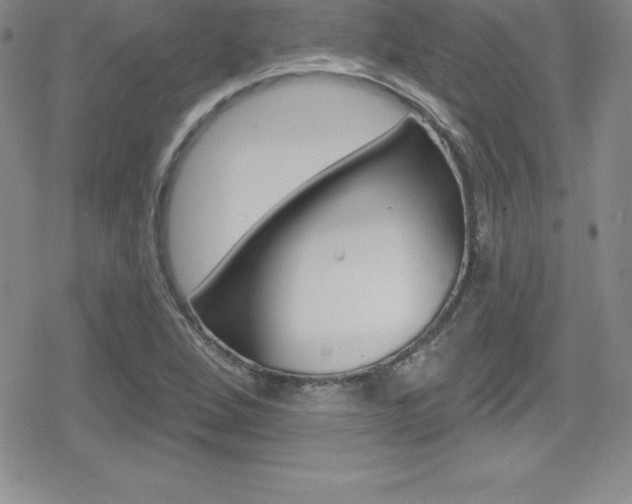 X0000080131264200612080947