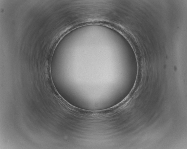 X0000080131265200612080947