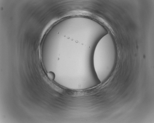 X0000080131275200612080947