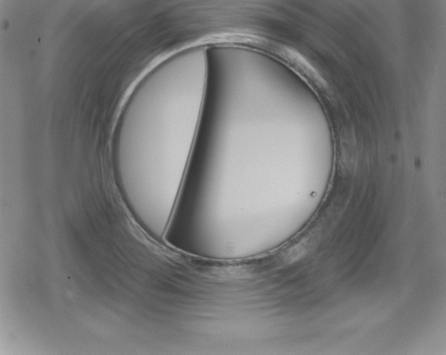 X0000080131276200612080947