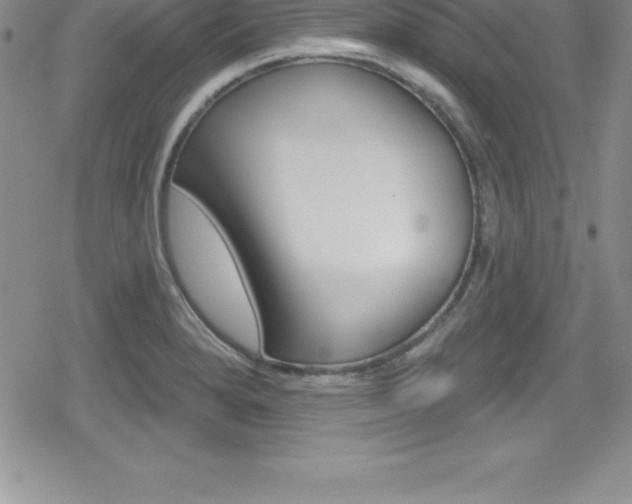 X0000080131280200612080947