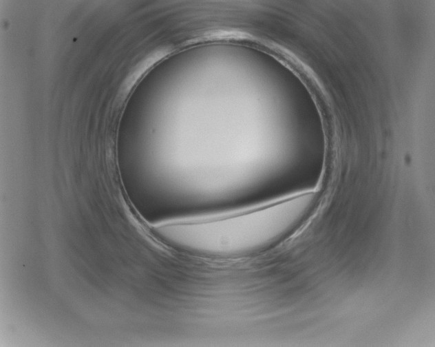 X0000080131281200612080947