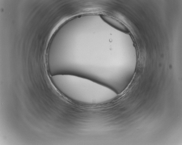 X0000080131291200612080947