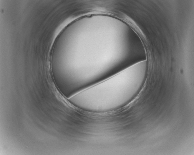 X0000080131292200612080947