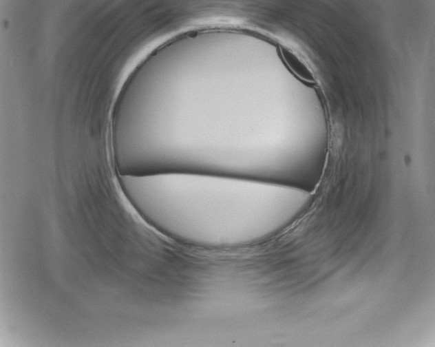 X0000080131295200612080947