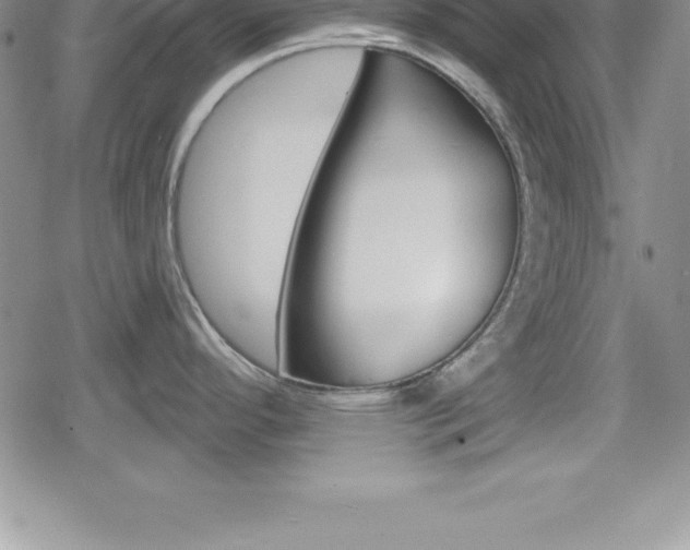 X0000080131296200612080946