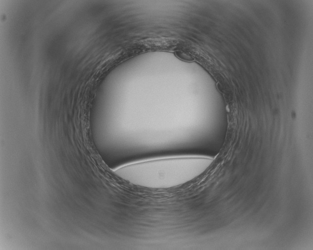 X0000080131297200612080946