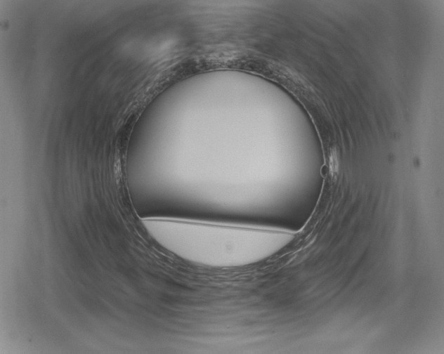 X0000080131299200612080946