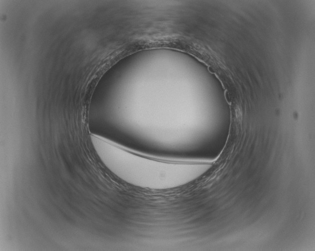 X0000080131300200612080946