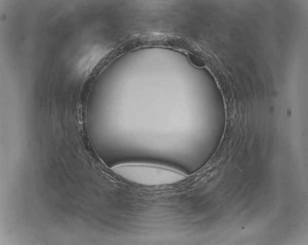 X0000080131301200612080946