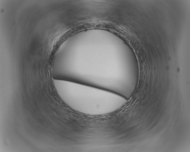 X0000080131302200612080946
