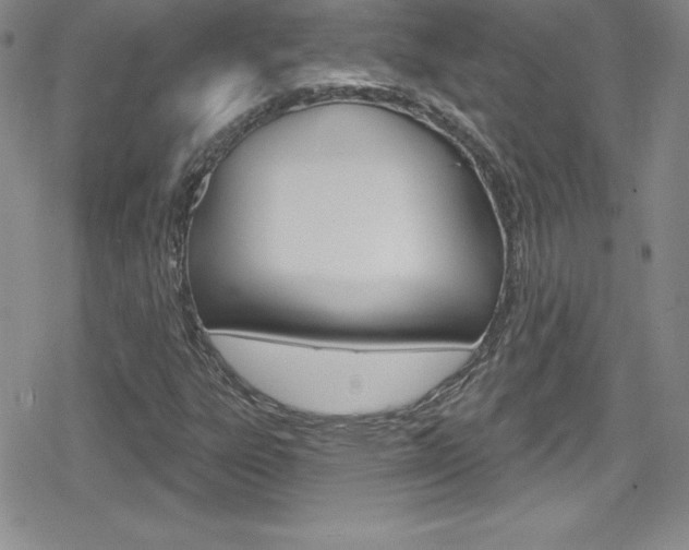 X0000080131303200612080946