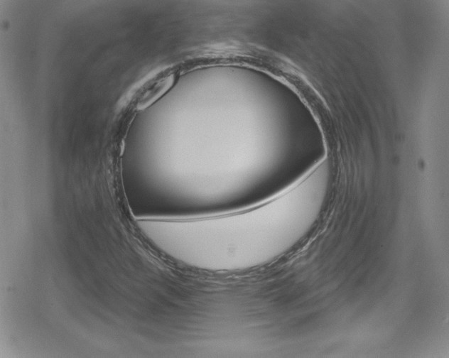 X0000080131304200612080946