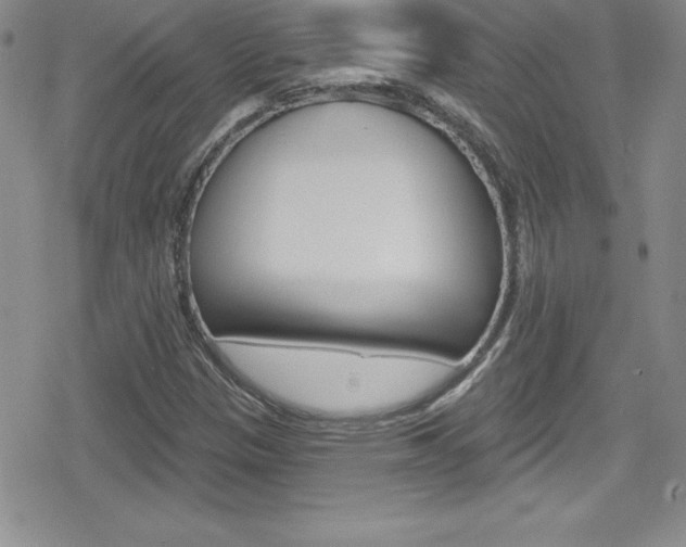 X0000080131305200612080946