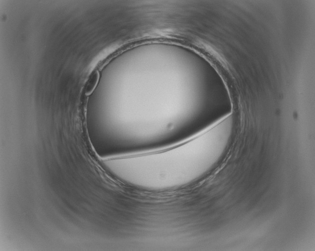 X0000080131308200612080946