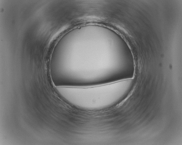 X0000080131309200612080946